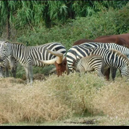 度假居 La Maison Du Climatisee Et Wifi Gd F3 *